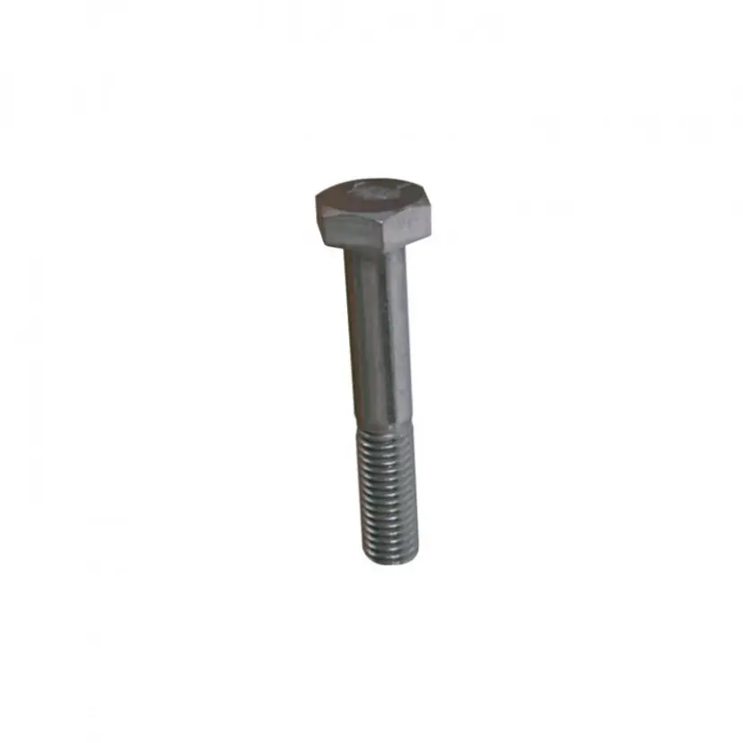 Bult Rostfri 12x80 mm bild