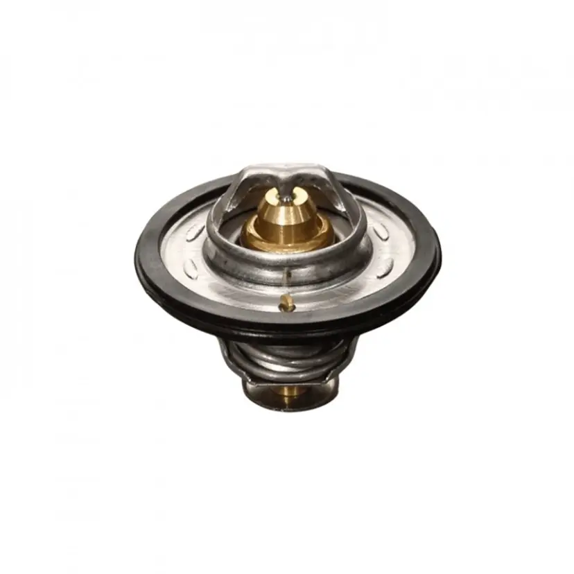 Termostatkit Volvo Penta MD19/MD21 (875785) bild