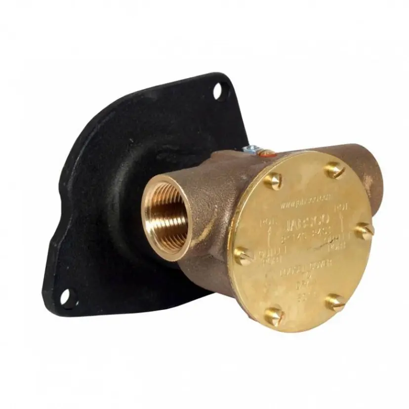 Pump brz flg 080 1" BSP (Ford, Dover, Dorset) bild