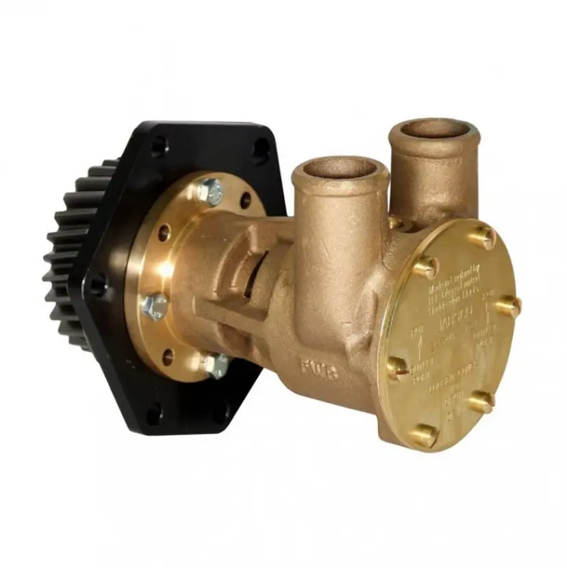 Pump BRZ FLG 080 Hose (Perkins 1000) bild