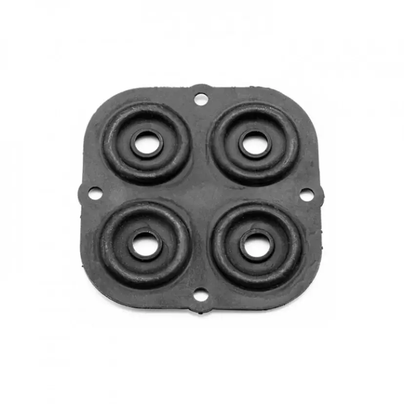 Membran Kit (För äldre Par-Max) bild