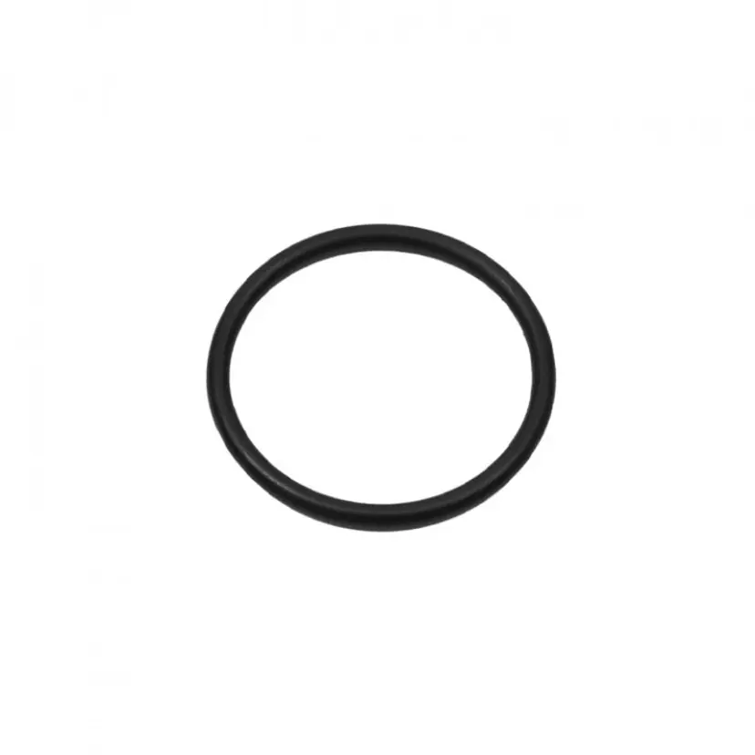 O-Ring (35480) bild