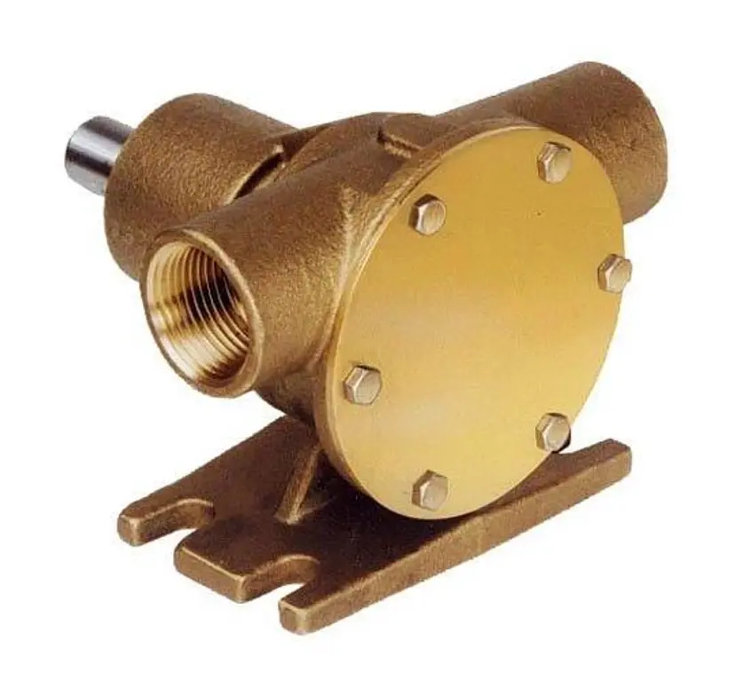 Pump brz ped 040 3/4" BSP bild