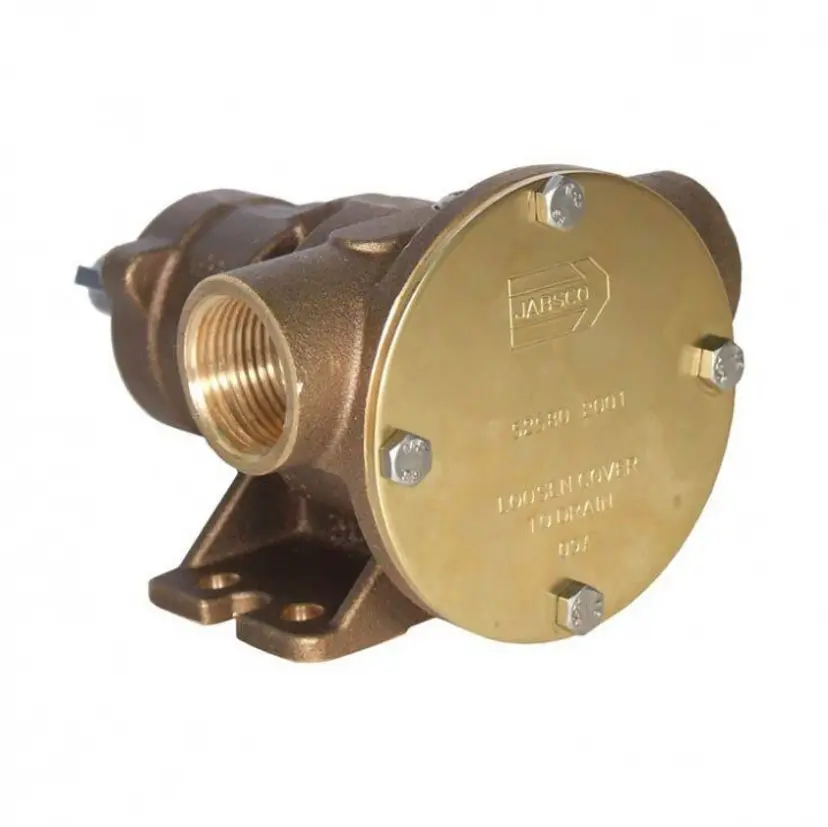 Pump brz ped 080 1" BSP bild