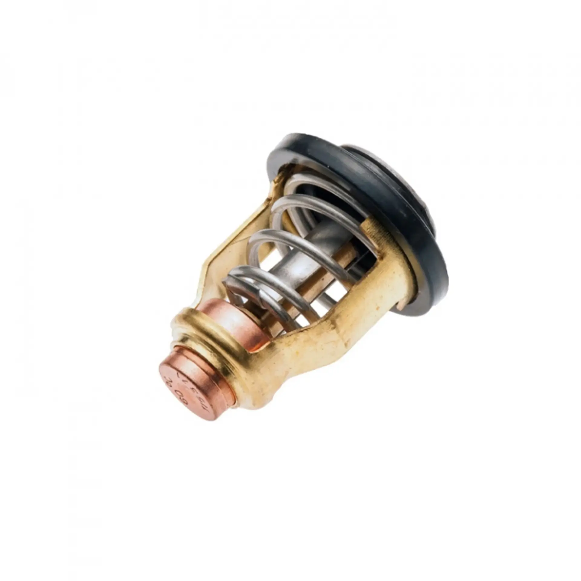Termostat Yamaha 200-300 hk (6CE124110000)Produktbild