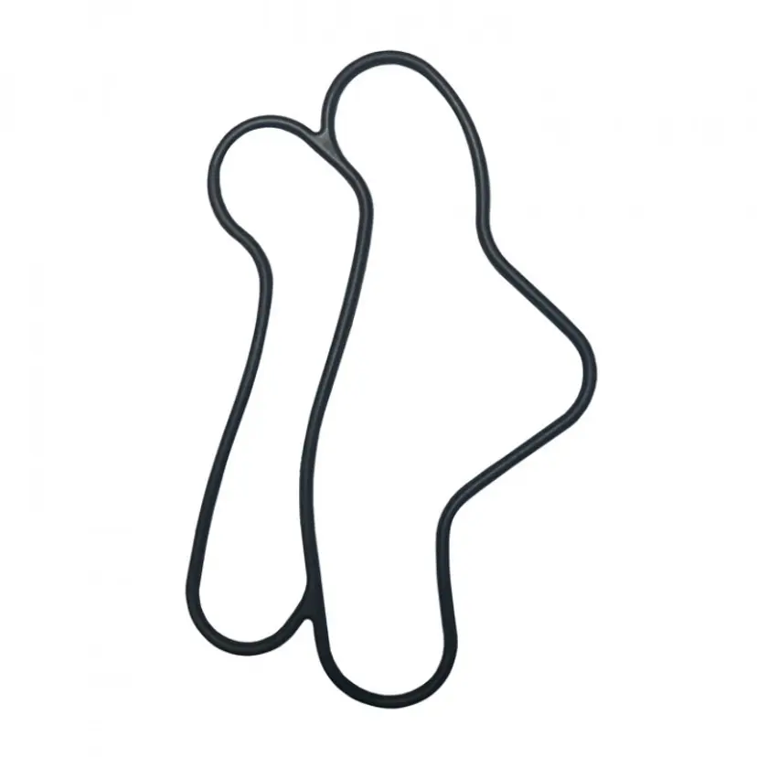 Gasket (6P2134770000) bild