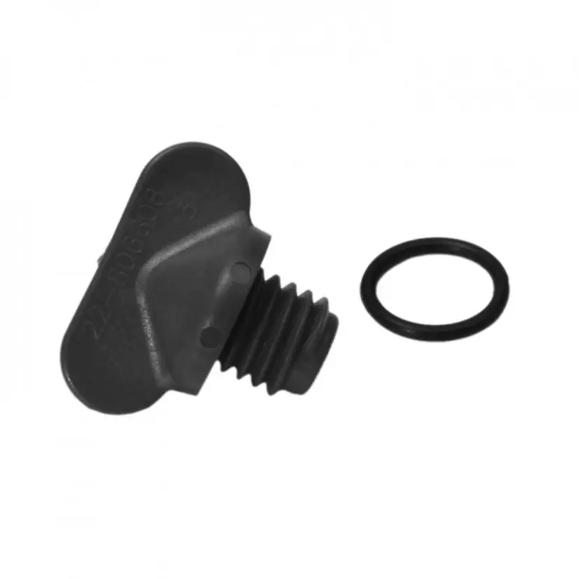 Drain Plug (806608K01) bild