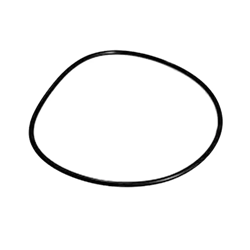 O-Ring (925261) bild