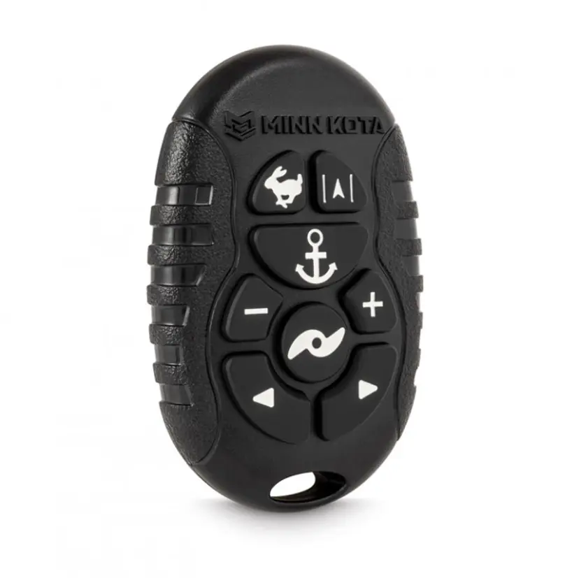 Micro Fjärrkontroll WR / BT bild