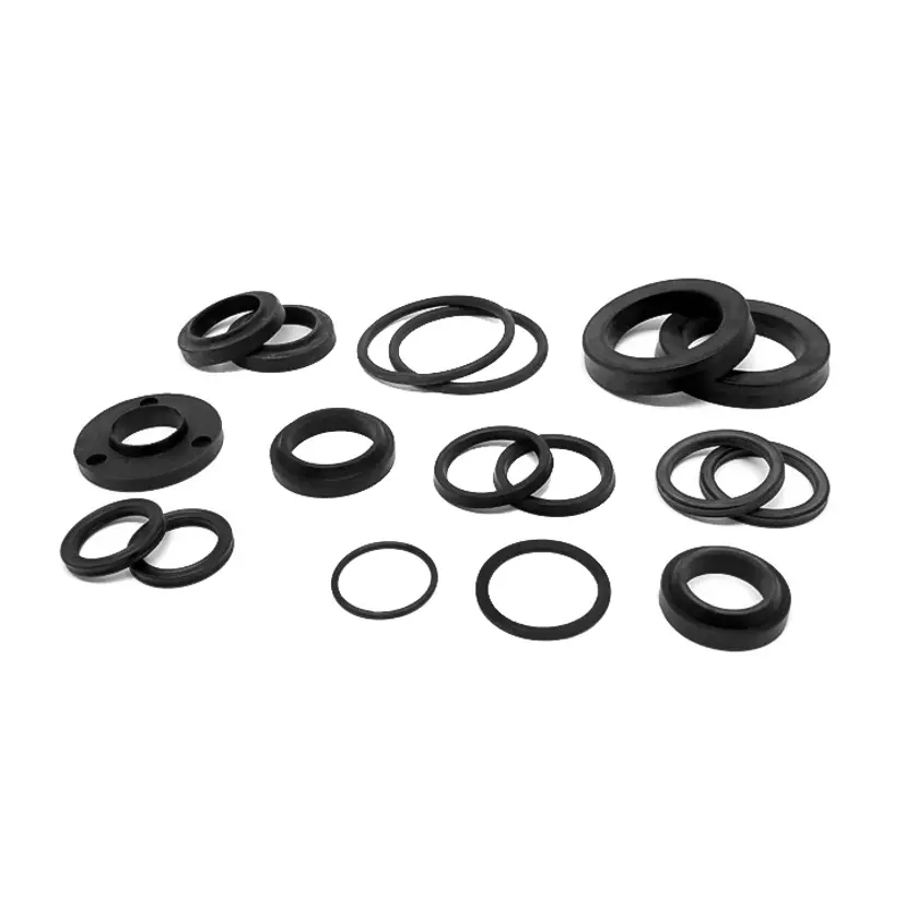 Service Seal-Sats Capilano 200-11 BA,STD,T bild