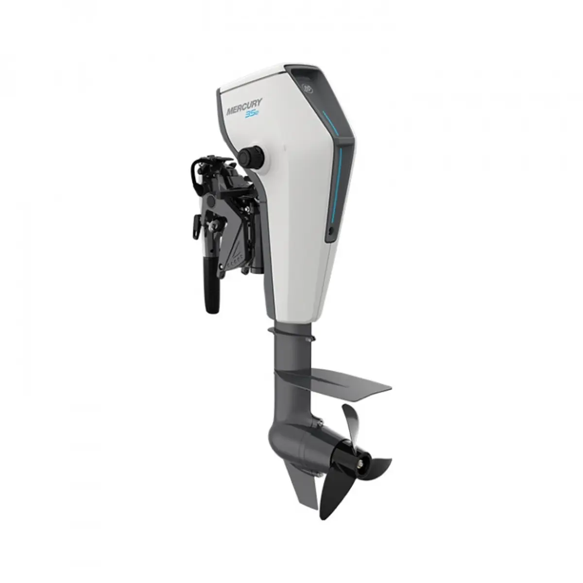 image 1 av 10