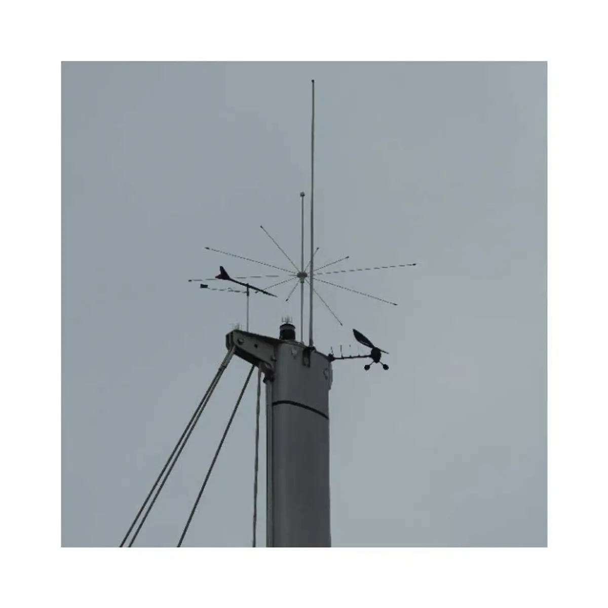 image 5 av 5