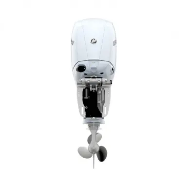 image 6 av 8