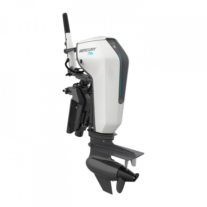 Avator 75E LHPT L Rigg 20