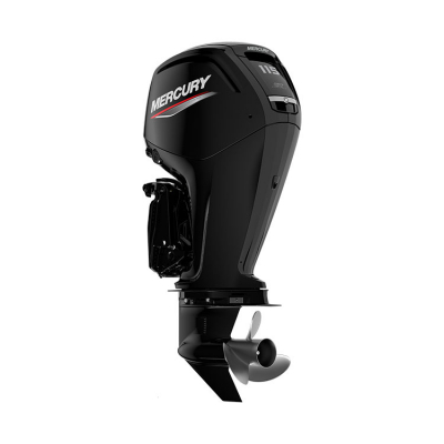 F100 ELPT CT 4-Takt 100 hk Lång Rigg 20