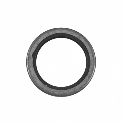 O-Ring (14077)