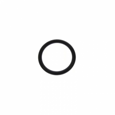 O-Ring (26318T)