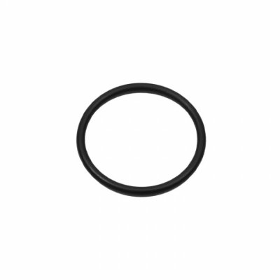 O-Ring (35480)