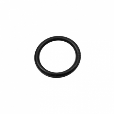 O-Ring (45253)