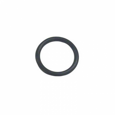 O-Ring (45258)