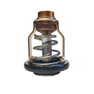 Termostat (Thermostat 60V124110000)