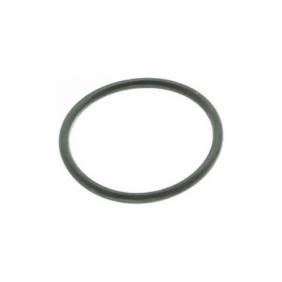 O-Ring (62701)