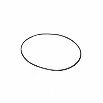 O-Ring (67207)