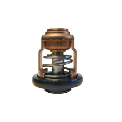 Termostat (Thermostat 6E5124110200)