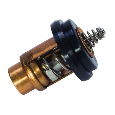 Termostat 2,5-6hk Förgasare (8M0228409)