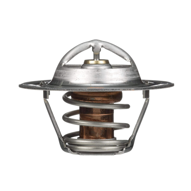 Termostat För GM-Motorer 160g