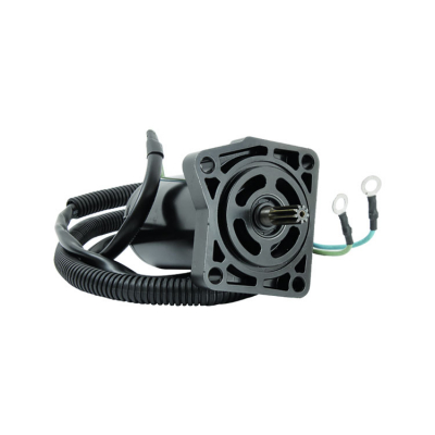 Tilt/Trim Motor Yamaha (8M6007562)