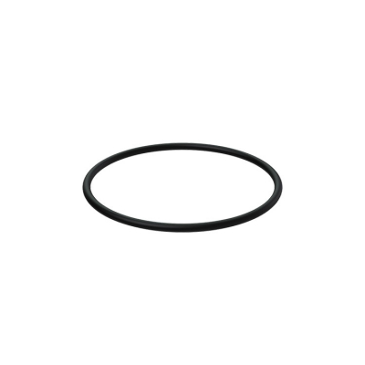O-Ring (956000)