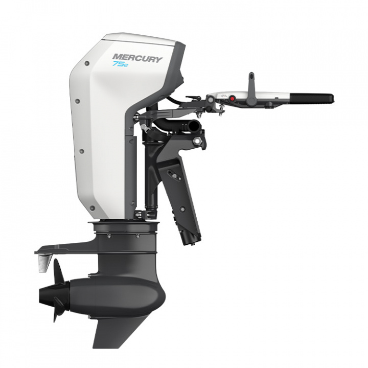 Avator 75E LHPT L Rigg 20