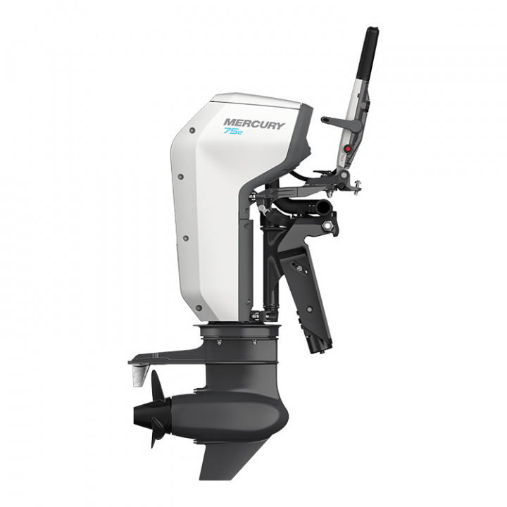 Avator 75E XLHPT XL Rigg 25