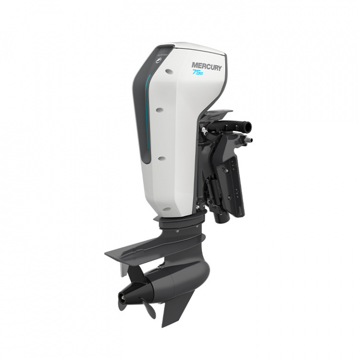 Avator 75E XLRCPT XL Rigg 25