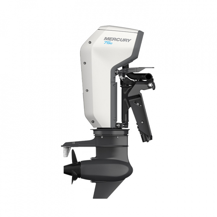 Avator 75E SRCPT S Rigg 15