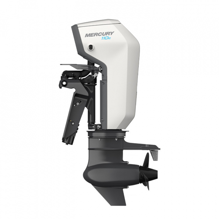 Avator 110E LRCPT L Rigg 20