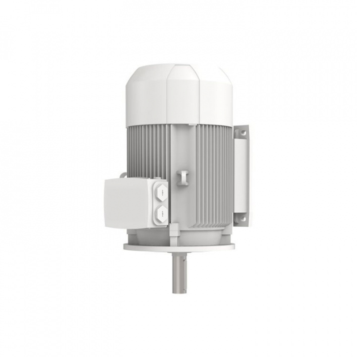 AC Motor 21kW 220VD B35 100Hz
