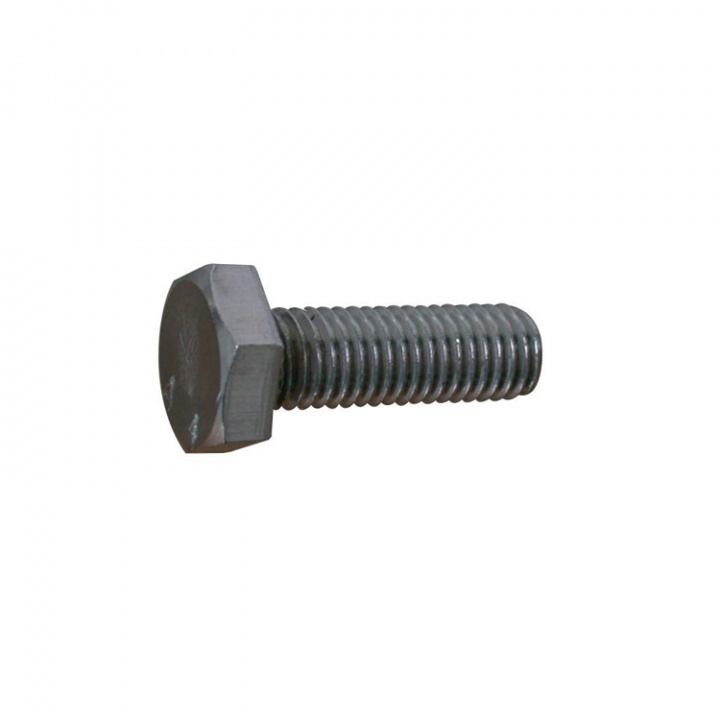 Bult Rostfri 12x60 mm