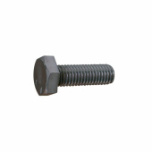 Bult Rostfri 12x60 mm Bult Rostfri 12x60 mm