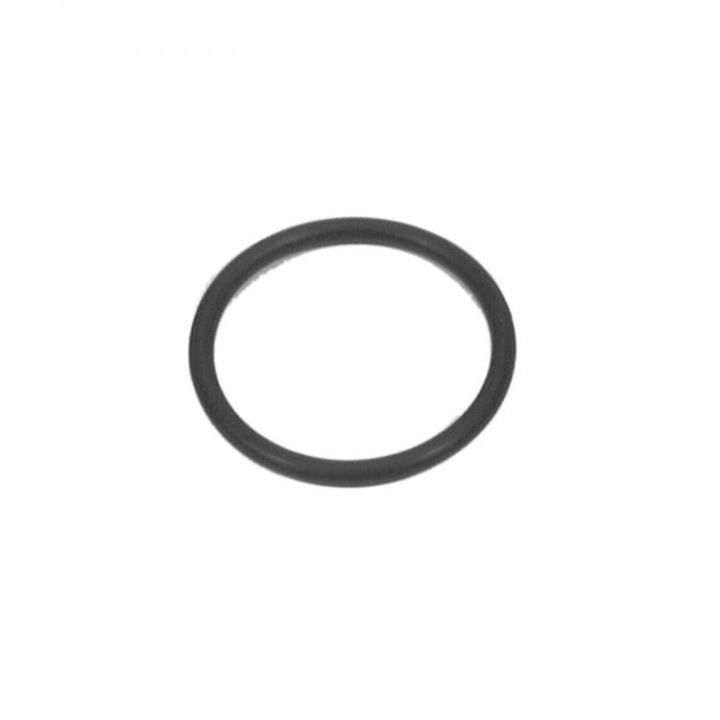 O-Ring (11332)
