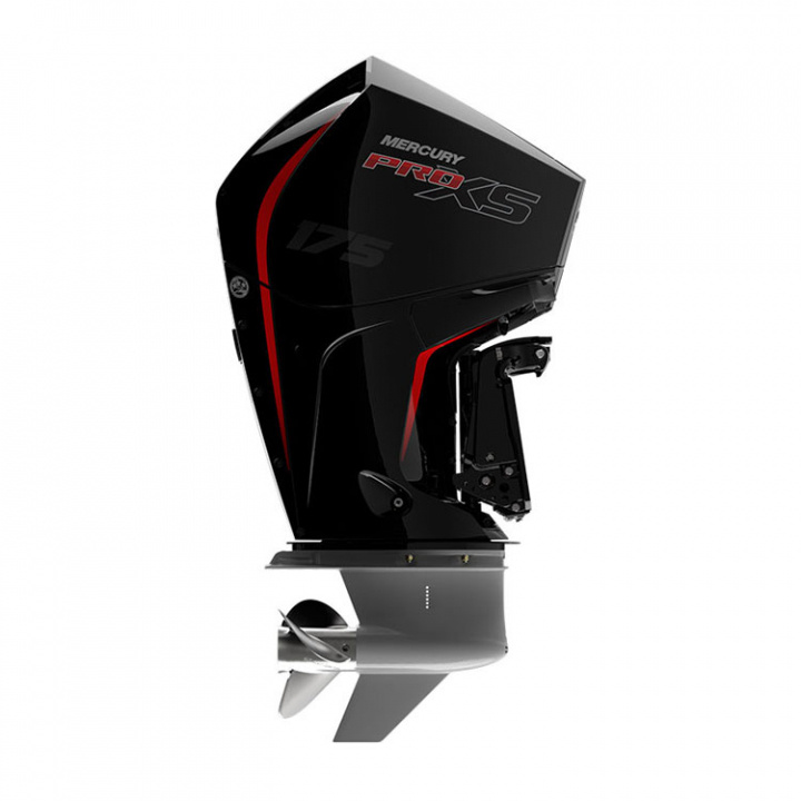 P175 L Pro XS 4-Takt 175 hk Lång Rigg 20