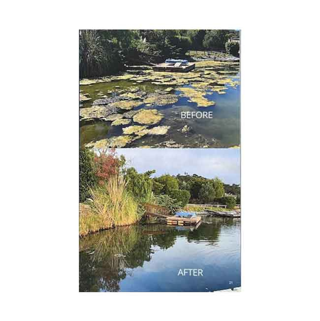 Aquaticlear Vattencirkulator 1/2HK