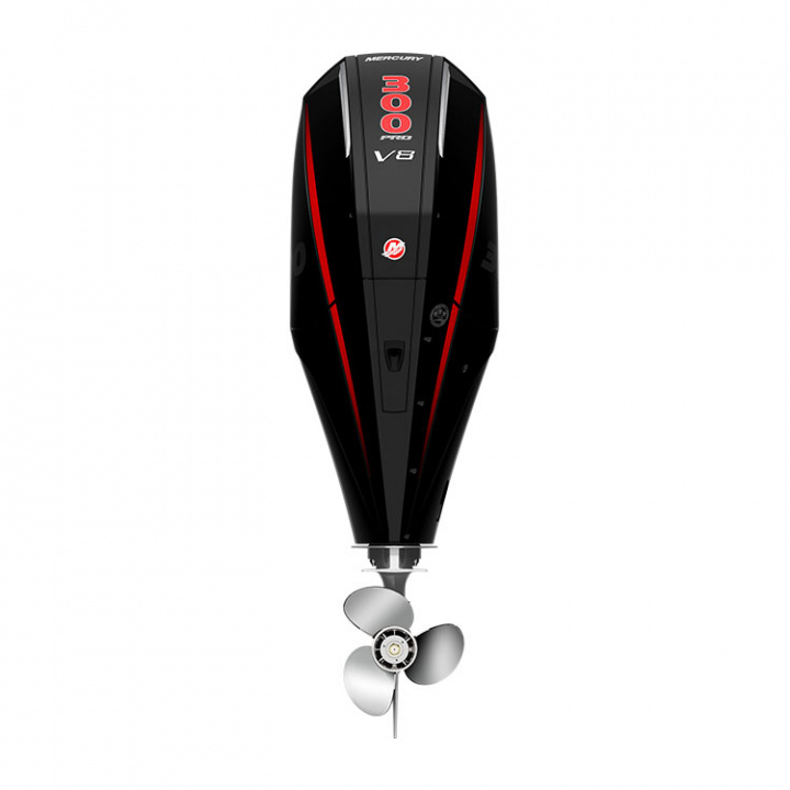 P300 L Pro XS TM 4-Takt 300 hk Lång Rigg 20