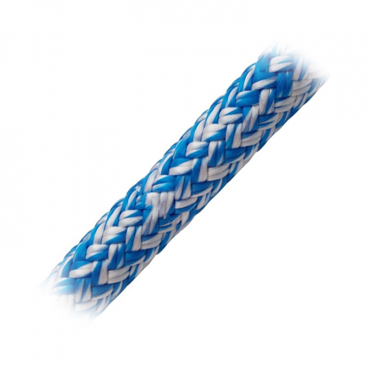 Globe Pro Robtec Fall Vit/Blå Hel Rulle