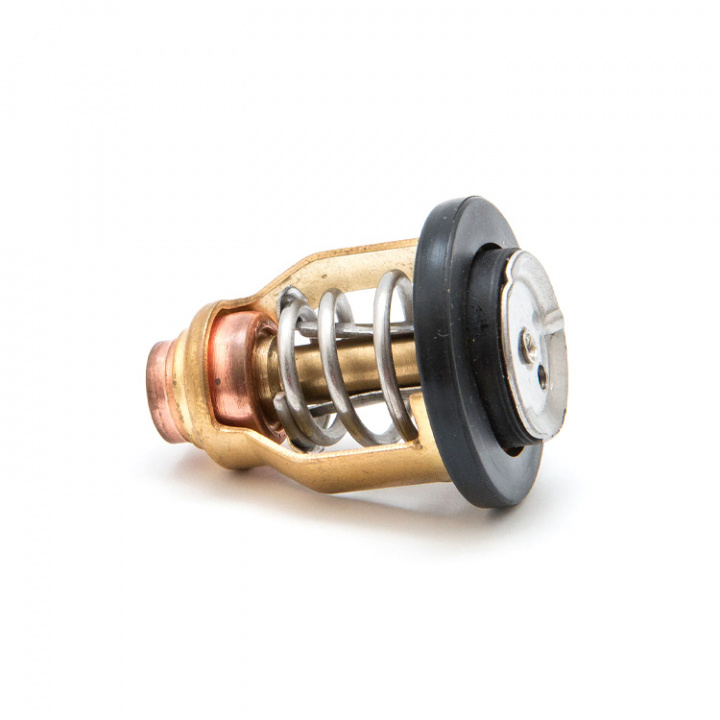 Termostat Yamaha (6FP-12411-00)