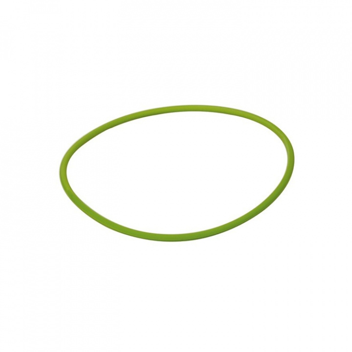 O-Ring Till Inspektionslock