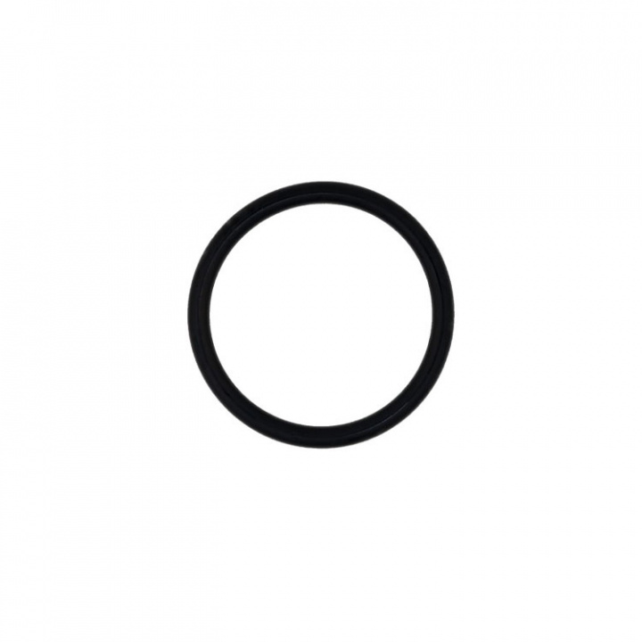 O-Ring (16109003)