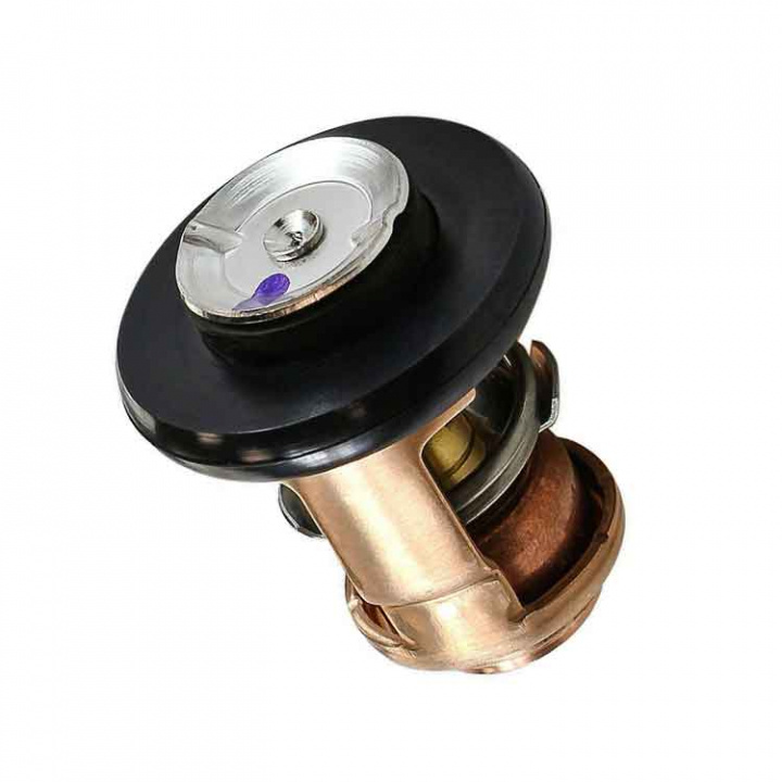 Termostat (19300ZY6003)