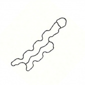 Packning Avgaslucka Honda (19371ZZ3000) Packning Avgaslucka Honda (19371ZZ3000)